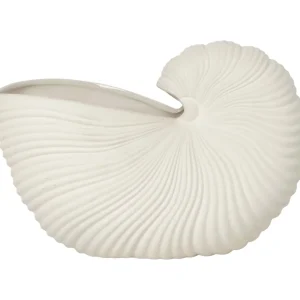 Shell Pot